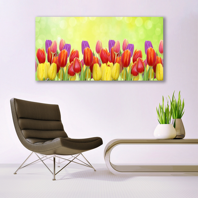 Cuadro en lienzo canvas Tulipanes flores planta