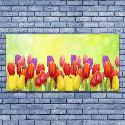 Cuadro en lienzo canvas Tulipanes flores planta