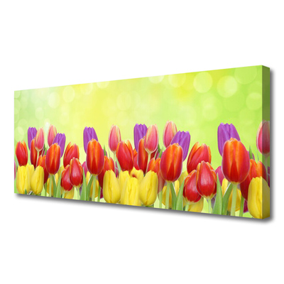 Cuadro en lienzo canvas Tulipanes flores planta