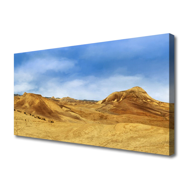 Cuadro en lienzo canvas Desierto colina paisaje