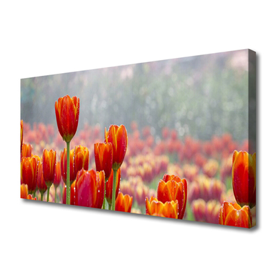 Cuadro en lienzo canvas Tulipanes flores planta