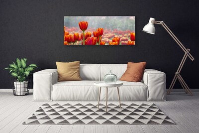 Cuadro en lienzo canvas Tulipanes flores planta