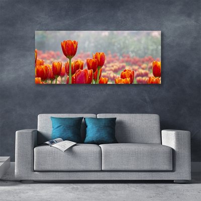 Cuadro en lienzo canvas Tulipanes flores planta