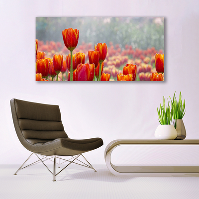 Cuadro en lienzo canvas Tulipanes flores planta