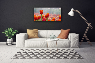 Cuadro en lienzo canvas Tulipanes flores planta