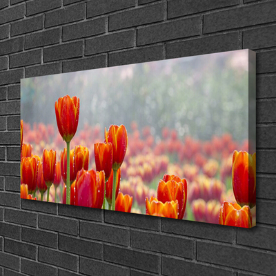 Cuadro en lienzo canvas Tulipanes flores planta