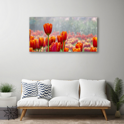 Cuadro en lienzo canvas Tulipanes flores planta