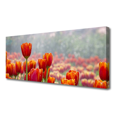 Cuadro en lienzo canvas Tulipanes flores planta