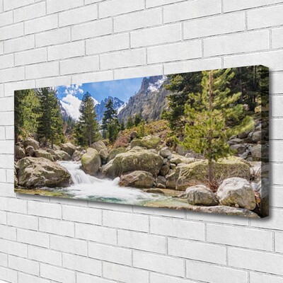 Cuadro en lienzo canvas Monte bosque piedras río