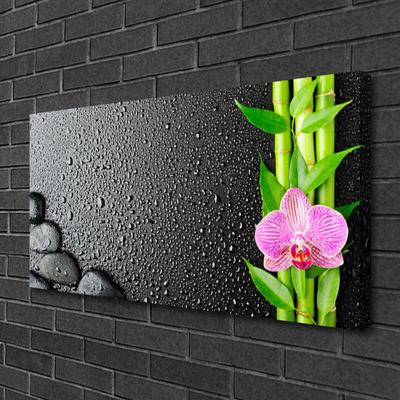 Cuadro en lienzo canvas Bambú tallo flor planta