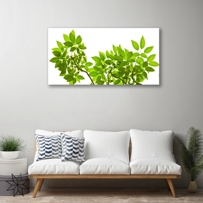 Cuadro en lienzo canvas Rama hojas planta naturaleza