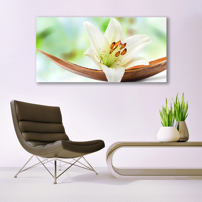 Cuadro en lienzo canvas Flor planta naturaleza