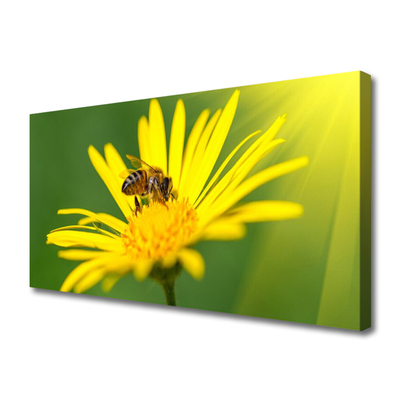 Cuadro en lienzo canvas Abeja flor naturaleza