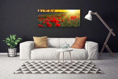 Cuadro en lienzo canvas Prado amapolas planta naturaleza