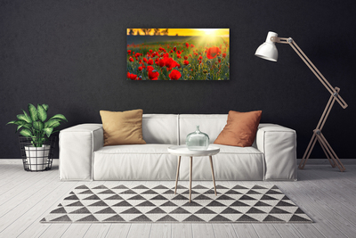 Cuadro en lienzo canvas Prado amapolas planta naturaleza