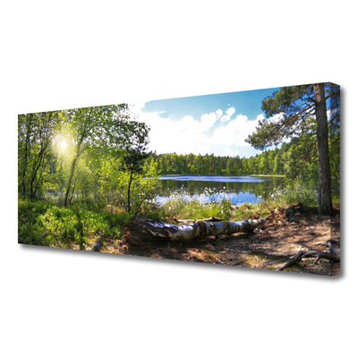 Cuadro en lienzo canvas Bosque árboles lago naturaleza