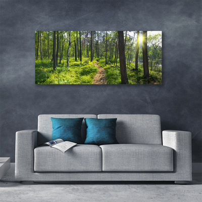 Cuadro en lienzo canvas Bosque camino sendero naturaleza