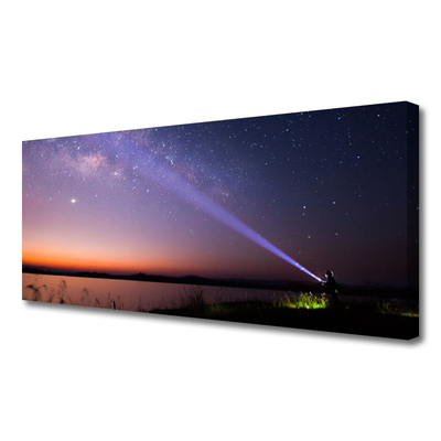 Cuadro en lienzo canvas Estrellas noche vía láctea