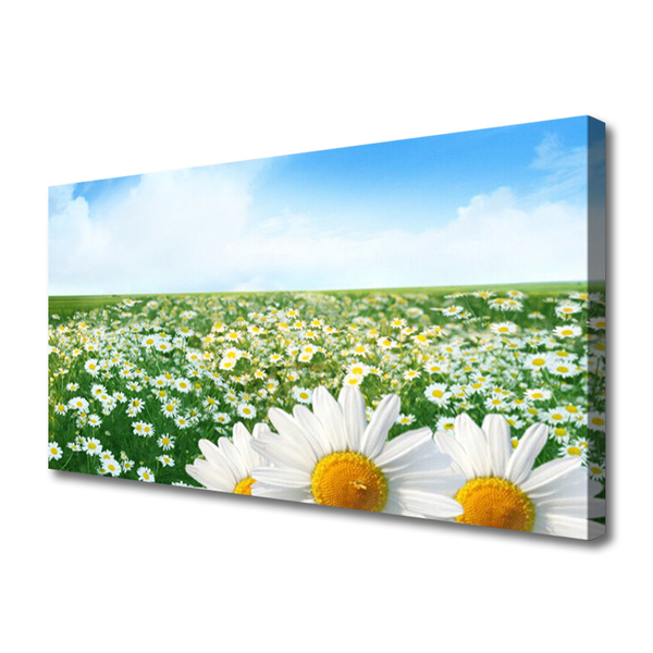 Cuadro en lienzo canvas Chiribitas flores prado campo