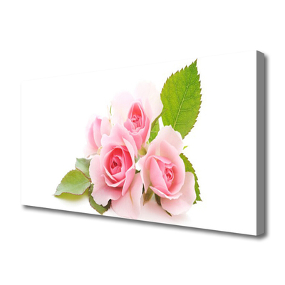 Cuadro en lienzo canvas Rosas flores planta naturaleza