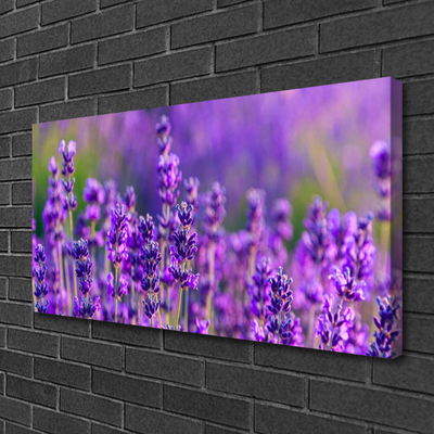 Cuadro en lienzo canvas Campo morada lavanda