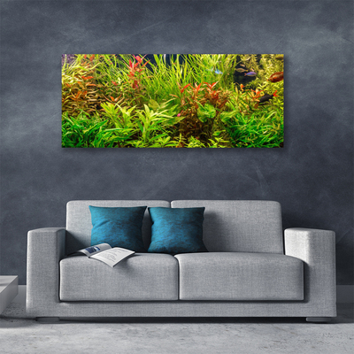 Cuadro en lienzo canvas Acuario peces plantas