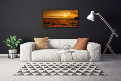 Cuadro en lienzo canvas Campo amapolas puesta del sol prado