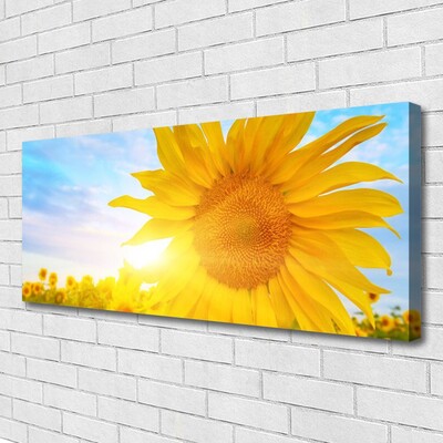 Cuadro en lienzo canvas Girasol flor sol