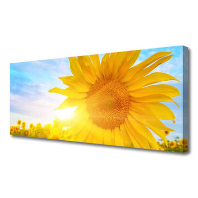 Cuadro en lienzo canvas Girasol flor sol