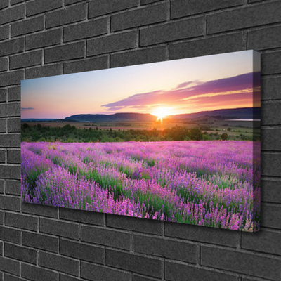 Cuadro en lienzo canvas Lavanda campos prado puesta del sol
