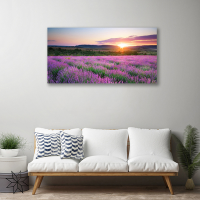 Cuadro en lienzo canvas Lavanda campos prado puesta del sol