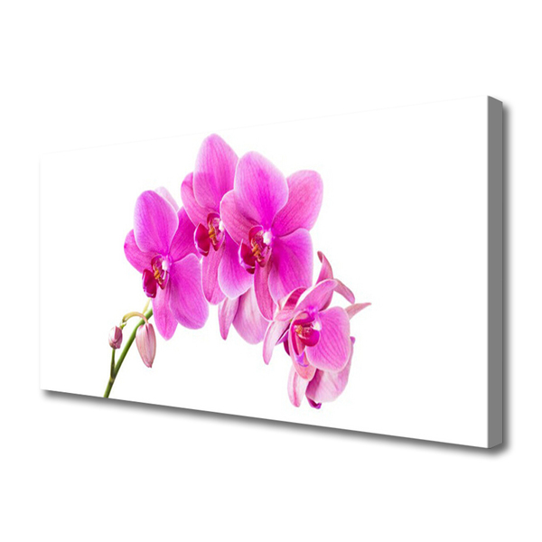 Cuadro en lienzo canvas Orquídea flor orquídea