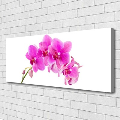 Cuadro en lienzo canvas Orquídea flor orquídea