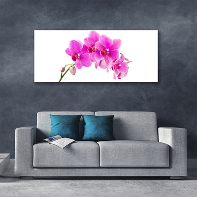 Cuadro en lienzo canvas Orquídea flor orquídea