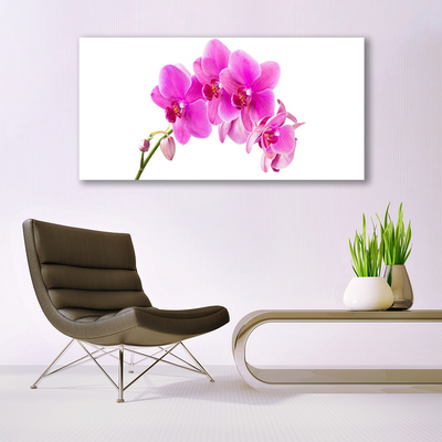 Cuadro en lienzo canvas Orquídea flor orquídea