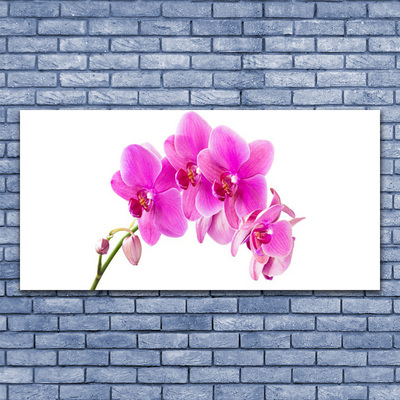 Cuadro en lienzo canvas Orquídea flor orquídea