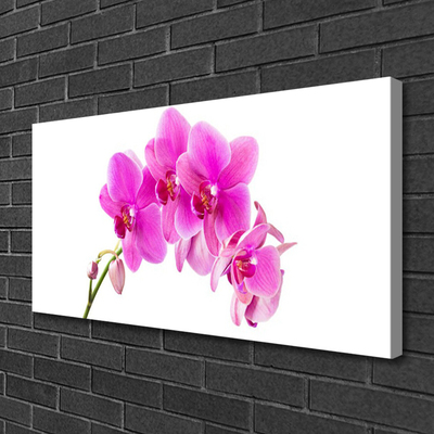 Cuadro en lienzo canvas Orquídea flor orquídea