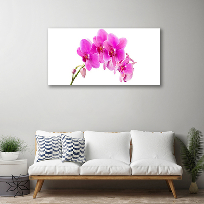 Cuadro en lienzo canvas Orquídea flor orquídea