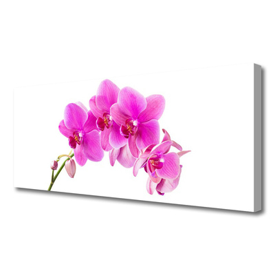 Cuadro en lienzo canvas Orquídea flor orquídea