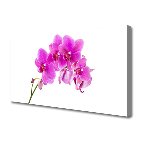 Cuadro en lienzo canvas Orquídea flor orquídea