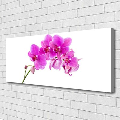 Cuadro en lienzo canvas Orquídea flor orquídea