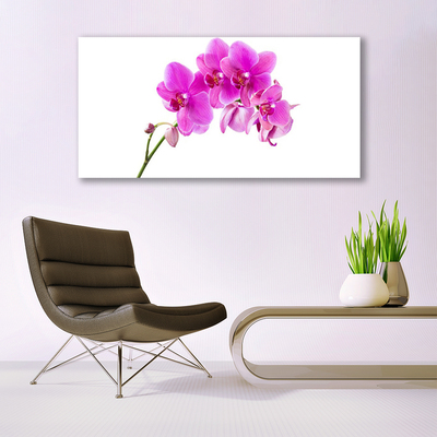 Cuadro en lienzo canvas Orquídea flor orquídea