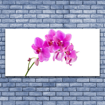 Cuadro en lienzo canvas Orquídea flor orquídea