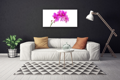 Cuadro en lienzo canvas Orquídea flor orquídea