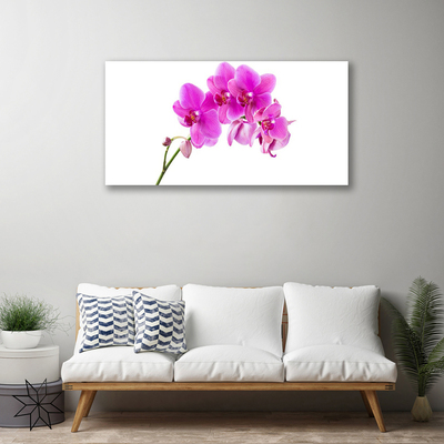 Cuadro en lienzo canvas Orquídea flor orquídea