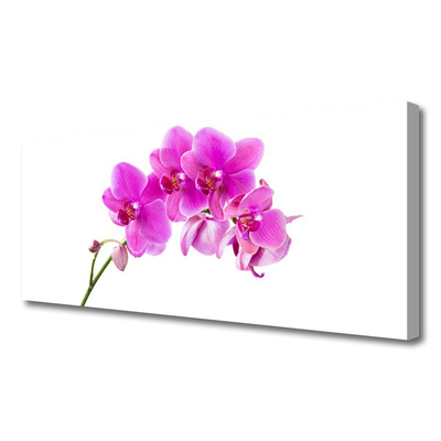 Cuadro en lienzo canvas Orquídea flor orquídea