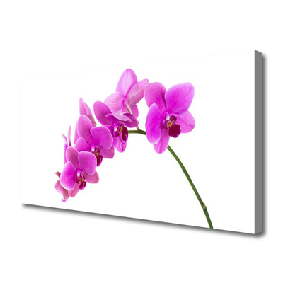 Cuadro en lienzo canvas Orquídea flor orquídea