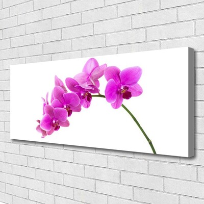 Cuadro en lienzo canvas Orquídea flor orquídea