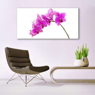 Cuadro en lienzo canvas Orquídea flor orquídea