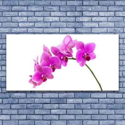 Cuadro en lienzo canvas Orquídea flor orquídea